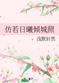 《仿若日曦倾城照》