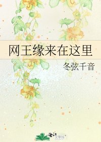 《网王缘来在这里》