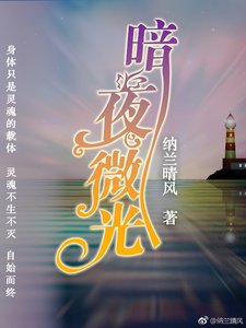 《暗夜微光》
