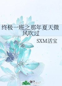 《终极一班之那年夏天微风吹过》
