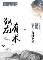 《综琼瑶之驭龙有术》