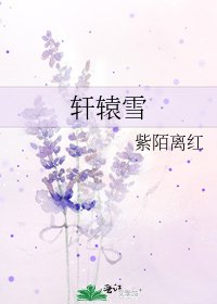 《轩辕雪》