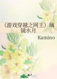 《(游戏穿越之网王)璃镜水月》