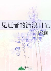 《见证者的流浪日记》