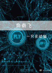 向南飞