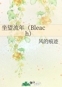 坐望流年（Bleach）
