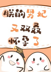 《朕的男妃又双叒怀孕了!》