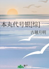 本丸代号银[综]