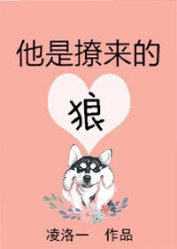 《他是撩来的狼》