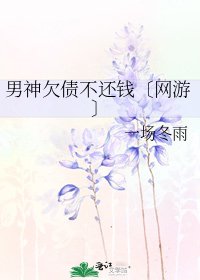 《男神欠债不还钱〔网游〕》
