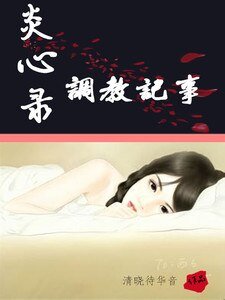 《炎心录——调教记事》