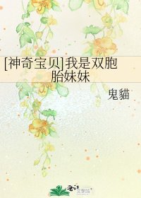 [神奇宝贝]我是双胞胎妹妹