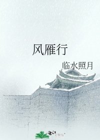 《风雁行》