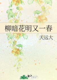 《柳暗花明又一春》