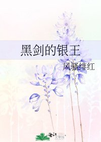 《黑剑的银王》