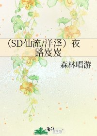 （SD仙流/洋泽）夜路岌岌