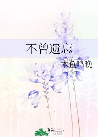 《不曾遗忘》