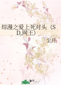 综漫之爱上死对头（SD,网王）