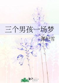 《三个男孩一场梦》