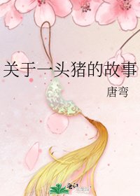 《关于一头猪的故事》