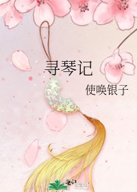 《寻琴记》
