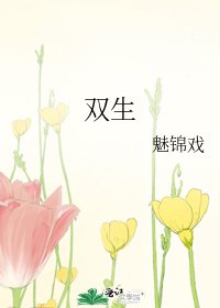 《双生》