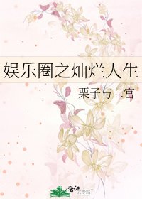 《娱乐圈之灿烂人生》