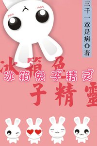 《冰箱兔子精灵》