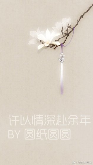 许以情深赴余年