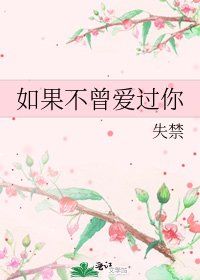 《如果不曾爱过你》