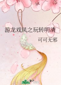 《游龙戏凤之玩转明清》