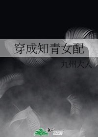 《穿成知青女配》