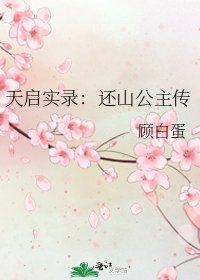 天启实录：还山公主传