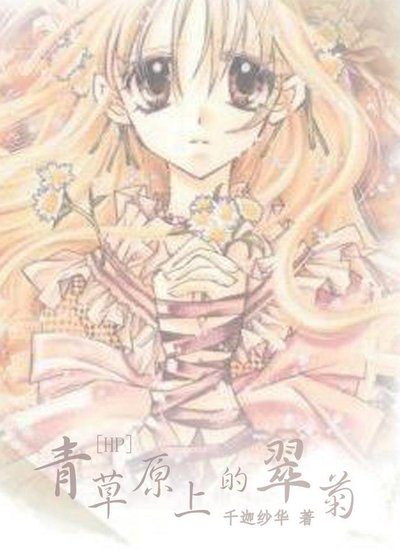 青草原上的翠菊