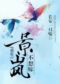 《景岚不想嫁(重生)》