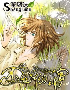 《不能说的秘密》