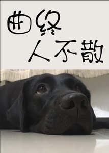 《曲终人不散》