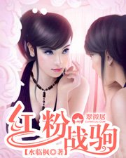 《红粉战驹》