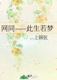 《网同——此生若梦》