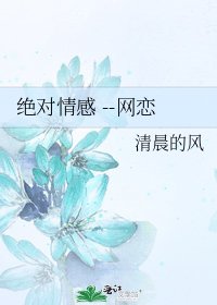 《绝对情感 --网恋》