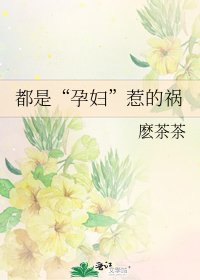 都是“孕妇”惹的祸