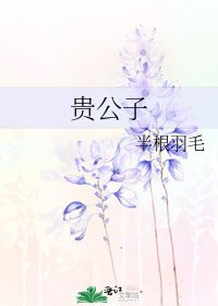 《贵公子》