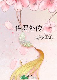 《佐罗外传》