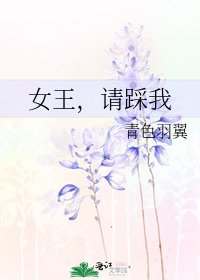 《女王,请踩我》