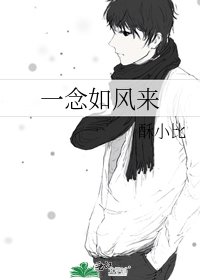 《一念如风来》