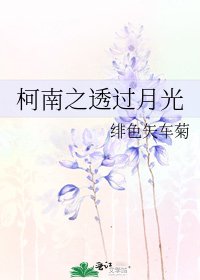 柯南之透过月光