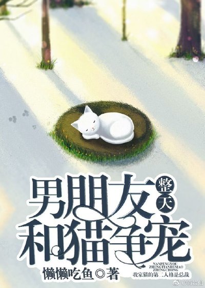 男朋友整天和猫争宠
