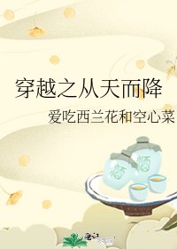 《穿越之从天而降》