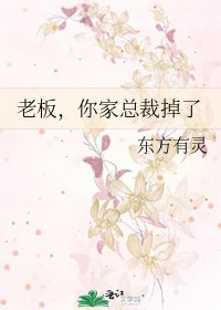 《老板,你家总裁掉了》