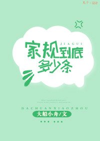 《家规到底多少条》